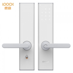 鹿客(LOOCK)Touch指纹锁智能锁家用防盗门锁智能门锁电子锁密码锁指纹锁 海岩白